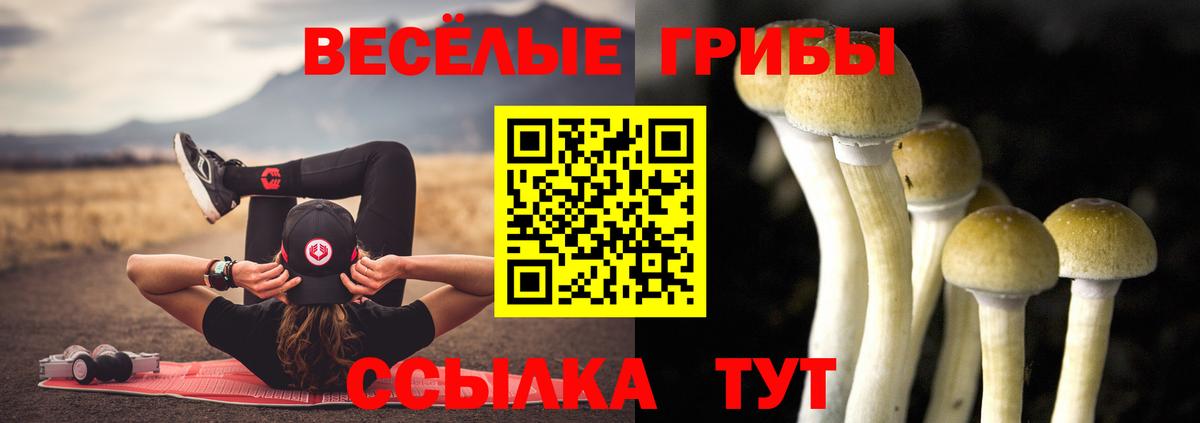 Псилоцибиновые грибы ЛСД  Галлюциногенные грибы Cubensis  Вход с VPN  Кинешма 